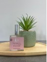 Parfum d'ambiance Vacances - COSMETIQUES DE QUIBERON