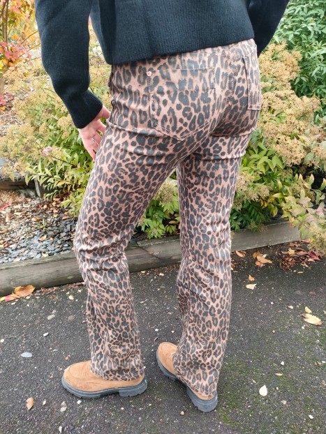 Pantalon bootcut léopard 252-POLEO 900 - MORGAN