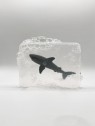 Savon enfant figurine requin - LUDI SOAP