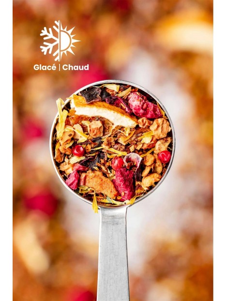 Rooibos bio orange sanguine 100 g - TEA HERITAGE