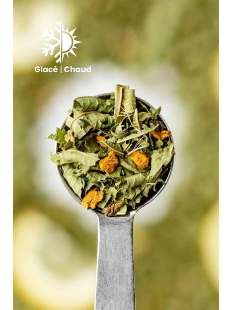 Tisane bio citron verveine 100 g - TEA HERITAGE